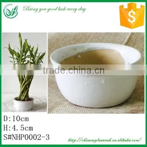 Tower Lucky Bamboo Ceramic Flower Pot thumbnail-1