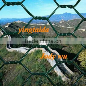 Hexgonal Wire Mesh Also Named Chicken Mesh thumbnail-1