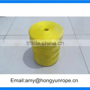China Supplier Packing Divine Twine With Competitive Price thumbnail-1