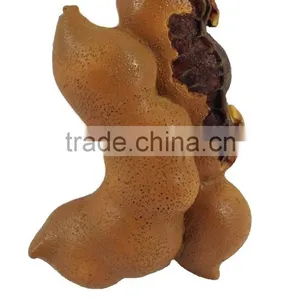 Tamarind FRUIT MAGNET RESIN 3D FRIDGE MAGNET SOUVENIR thumbnail-2