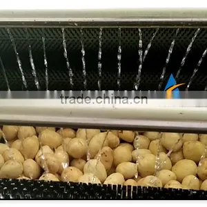 Industrial Stainless Steel Potato Washing Machine, Potato Peeling Machine thumbnail-4