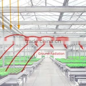Aquaponis Growing System Greenhouse thumbnail-1