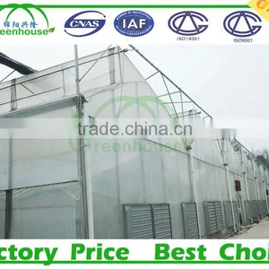 200 Micron uv Resistant Plastic Film Greenhouse for Sale thumbnail-1