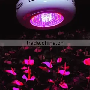 300W UFO Full Spectrum Grow Lights Led Plant Lamps With UV/IR Led Bulbs for Indoor Garden/Hydroponic System thumbnail-4