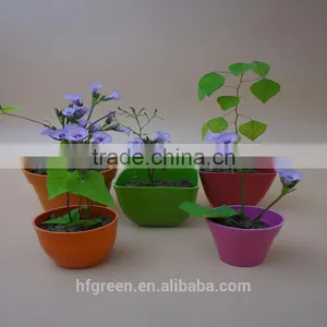 Biodegradable Bamboo Fiber Mini Flower Pot thumbnail-1