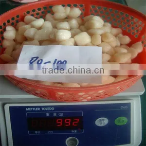 Frozen Cooked Bay Scallops on Sale thumbnail-1