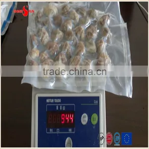Vacuum -packed Short Necked Clam in Shell thumbnail-3