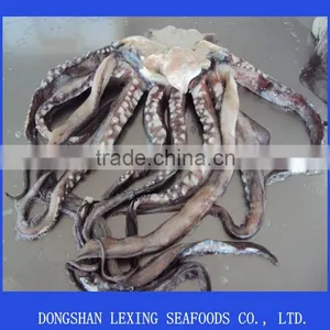 Frozen Peru Giant Squid Tentacle,wing,neck,fillet,tube thumbnail-1