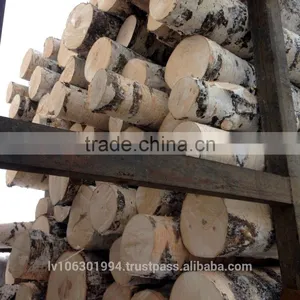 White Birch Logs thumbnail-1