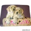 Sell Printed Blanket thumbnail-1