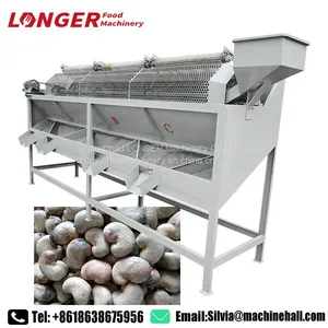 Raw Cashew Nut Grading Machine Grading Machine for Cashew thumbnail-1