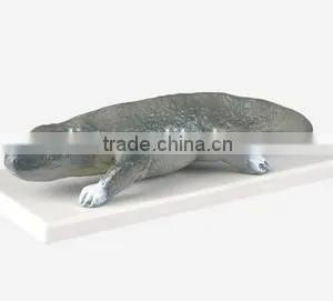 Paleozoic Cayman Model thumbnail-1