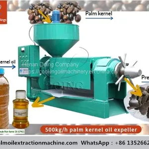 Palm Kernel Oil Pressing Machine thumbnail-1