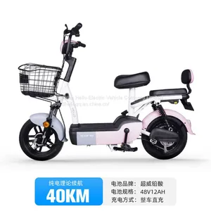 Hello Electric Car New National Standard Electric Bicycle Small Parent-child Car Intelligent Battery Car thumbnail-1