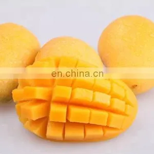 Small Mango Jam Processing Line Mango Jam Production Line thumbnail-3