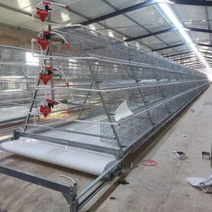 Broiler Cage / Three Story Two Door Three-dimensional Chicken Cage / Chicken Cage thumbnail-5