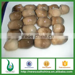 Best Preserved Canned Straw Mushrooms ,whole thumbnail-2