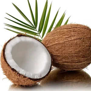 Shanghai Coconut Powder Water Processing Machine Coconut Processing Line Coconut Oil Production Line thumbnail-1