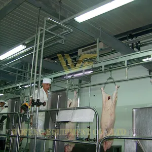 50-500 Heads Per Shift Pig Slaughter Production Line Full Set Pig Abattoir Processing Equipment SUS304 thumbnail-1