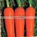 2013 Fresh Carrot thumbnail-1