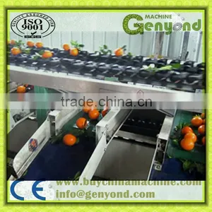 Automatic Fruit Sorting Machine Sorting by Weight thumbnail-1