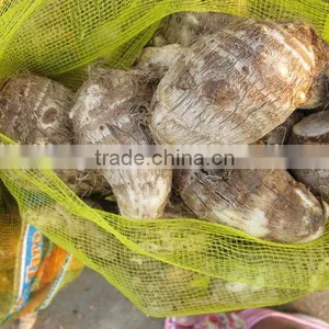 Fresh Taro(new Arrival) thumbnail-1