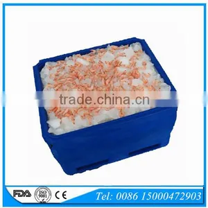 1000L Rotational Mold Plastic Marine Cooler for Fish Storage & Transportation thumbnail-6