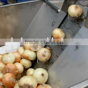 Single Conveyor Belt Onion Peeling Machine thumbnail-3