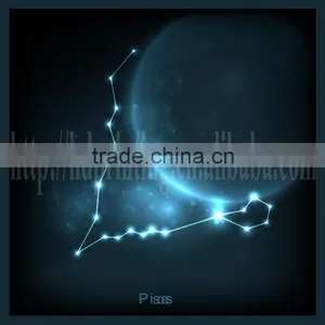 Pisces Constellation Led Canvas Wedding Decor Gift thumbnail-1
