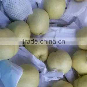2015 New Crop Fresh su Pear With Good Quality White Pears Fresh Juicy Pears thumbnail-1