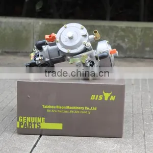 BISON(CHINA) Biogas, LPG, Natural Gas Conversion Kit thumbnail-3