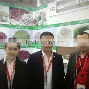 2016 Chinese Pine Nuts Without Shell for Export thumbnail-4