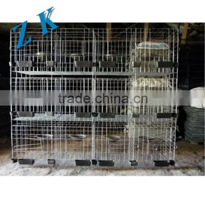 Chicken Cages Material HOt Dipped Galvanized Wire Q235 thumbnail-3