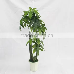 Fake Artificial Money Trees Decorative Indoor Big Plastic Trunk thumbnail-2