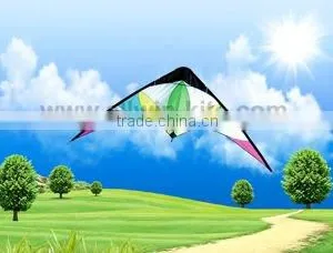 Dual Line Delta Stunt Kites - Curved Edge Kites thumbnail-1