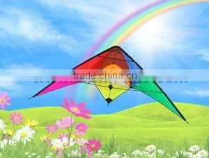 Dual Line Delta Stunt Kites - Straight Edge Kites thumbnail-1