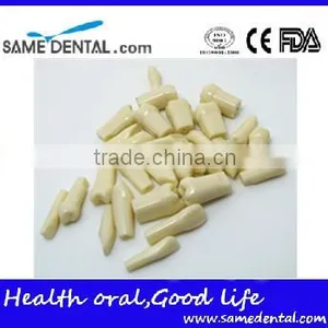 500 Dental Grain Dental Eduction Assitant No. DEA-12 thumbnail-2