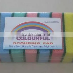 Scouring Sponge thumbnail-1