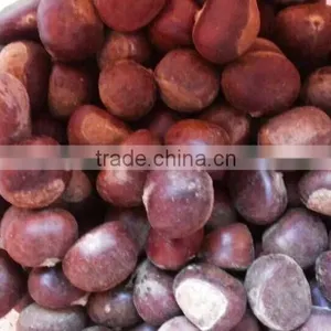 Water Chestnut thumbnail-1