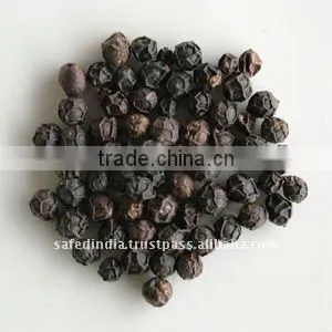 Black Pepper thumbnail-1