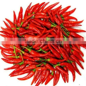 2012 Fresh Dried Chilli With Variety Size on Your Need thumbnail-1