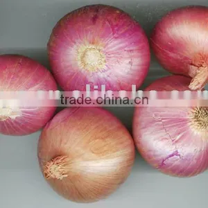 Onion thumbnail-1