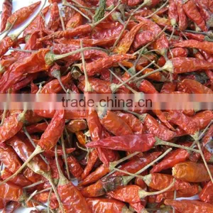 HIGH QUALITY RED CHILLI FROM VISIMEX thumbnail-1