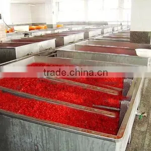 New Crop Dried Cherry for Hot Sale/red Cherry Lashes thumbnail-5