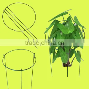 Dark Green Pvc Coated Single Plant Support thumbnail-1