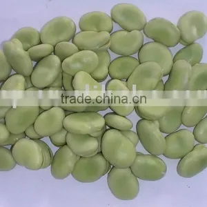 IQF Green Fava Bean thumbnail-1