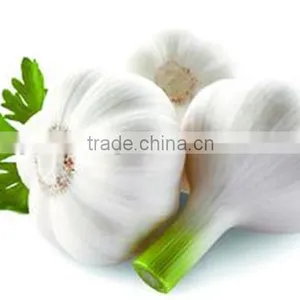 China Fresh Cheap Price Garlic thumbnail-3