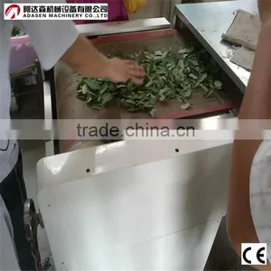 Tea Microwave Dryer Sterilizer Machine/Tea Processing Machine thumbnail-3