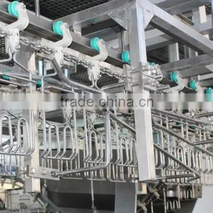 Halal Turnkey Poultry Chicken Projects House Claws Automatic Cutting Machine of Poultry Slaughterhouse Equipment thumbnail-2
