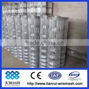 High Quality,High Tensile And Low Price Hot Dipped Galvanized Horse Feeding Fence Or Field Fence Direct China Manufacurer thumbnail-1